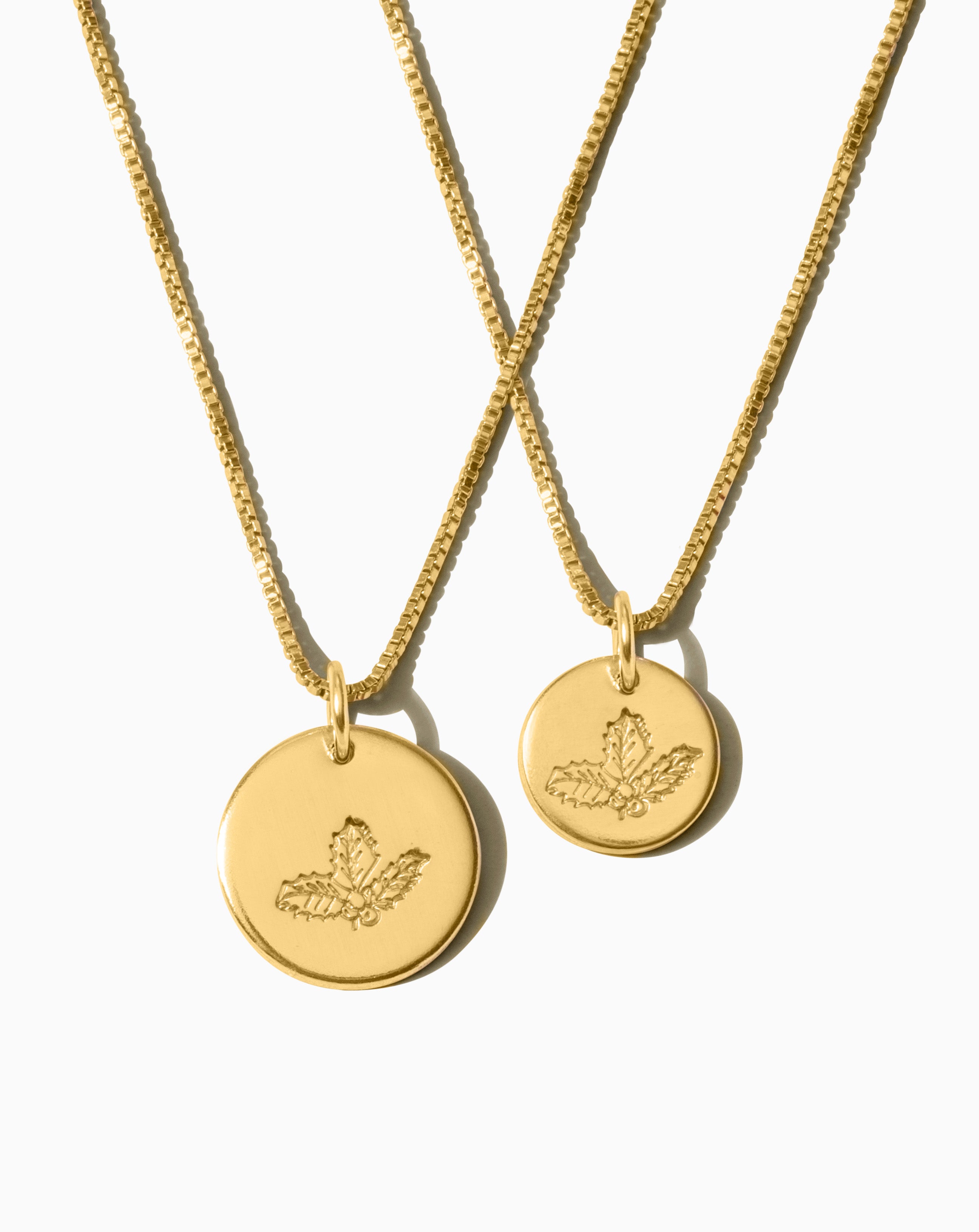 Holly • December Birth Flower