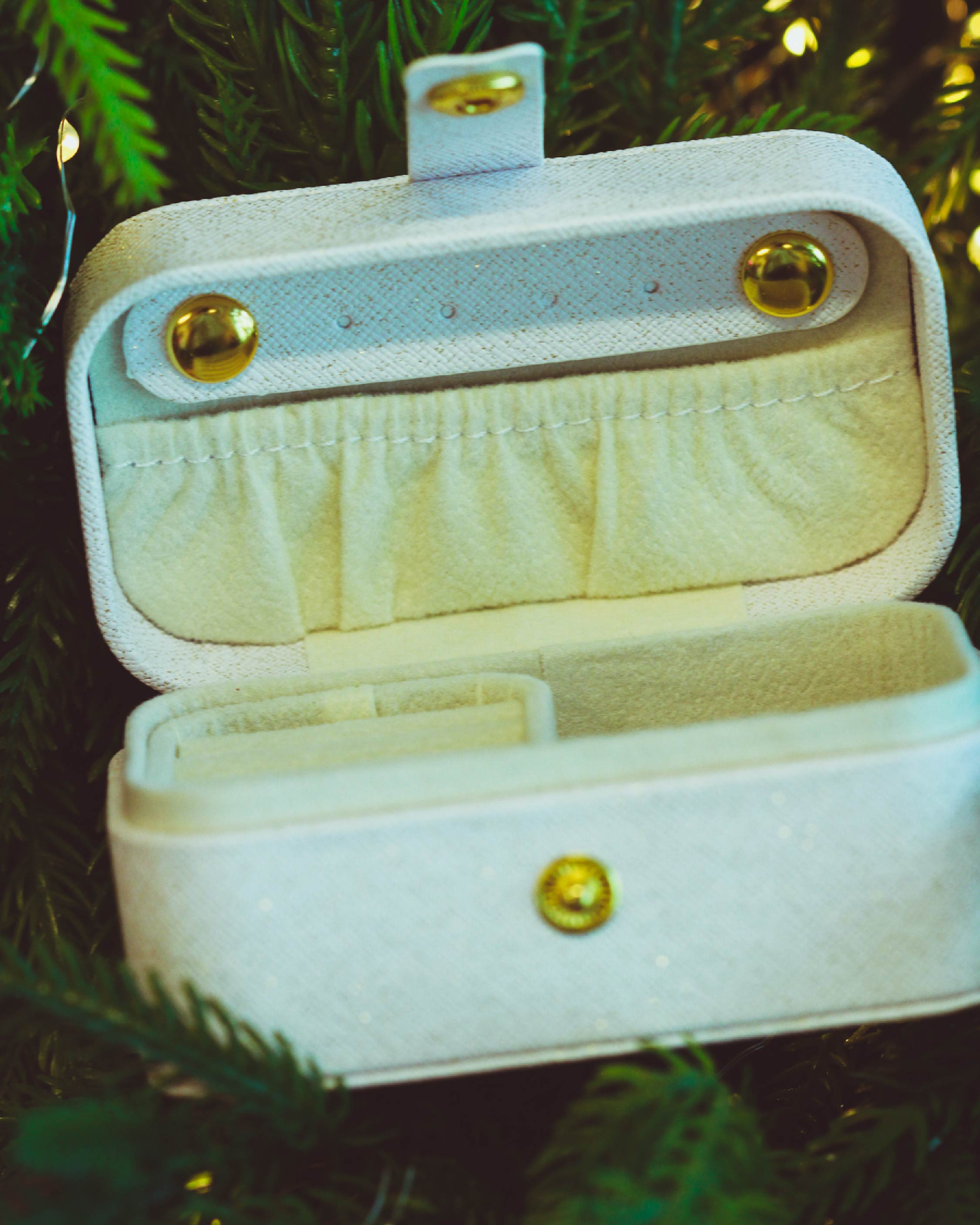 Elodie Mini Travel Jewelry Case