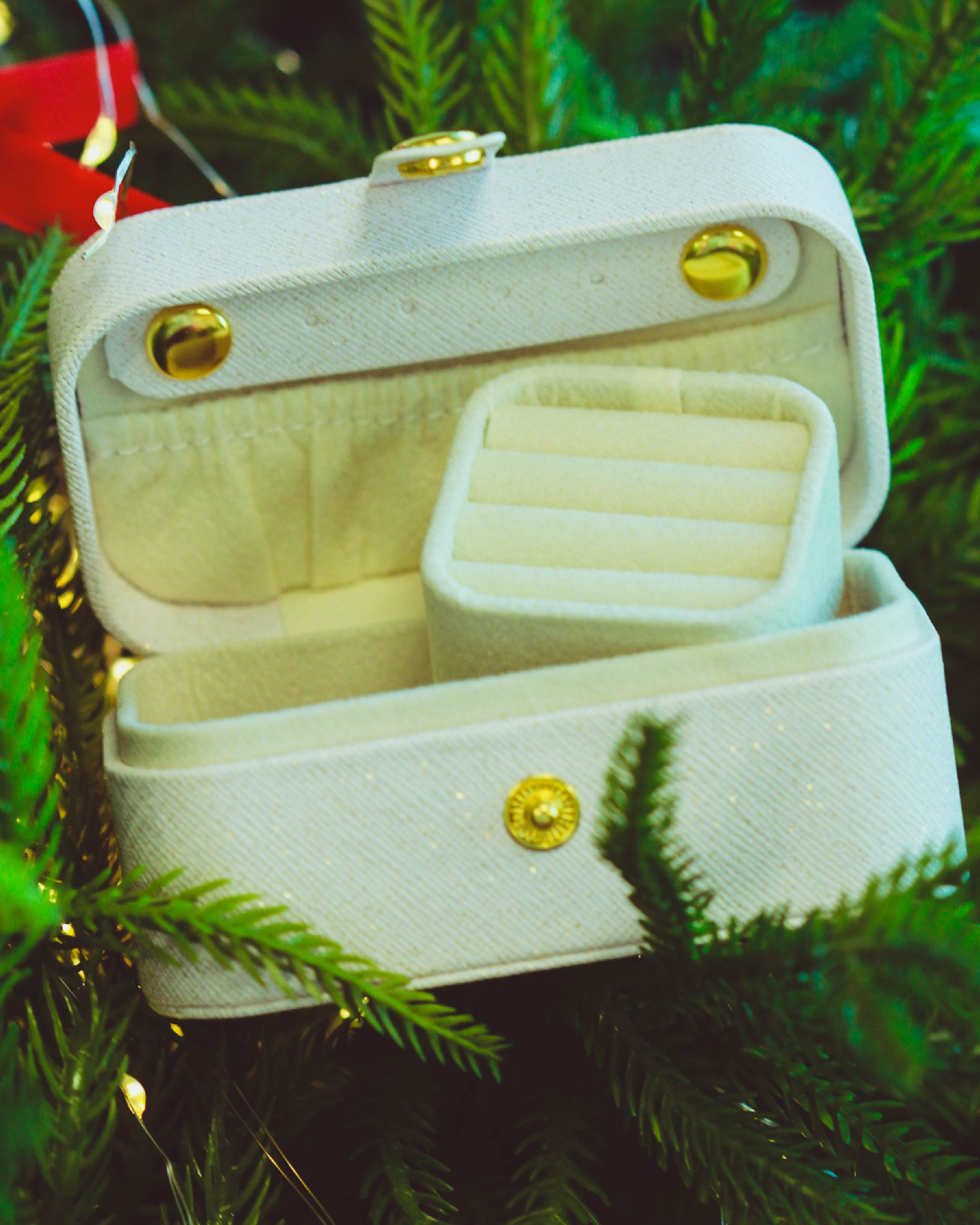 Elodie Mini Travel Jewelry Case