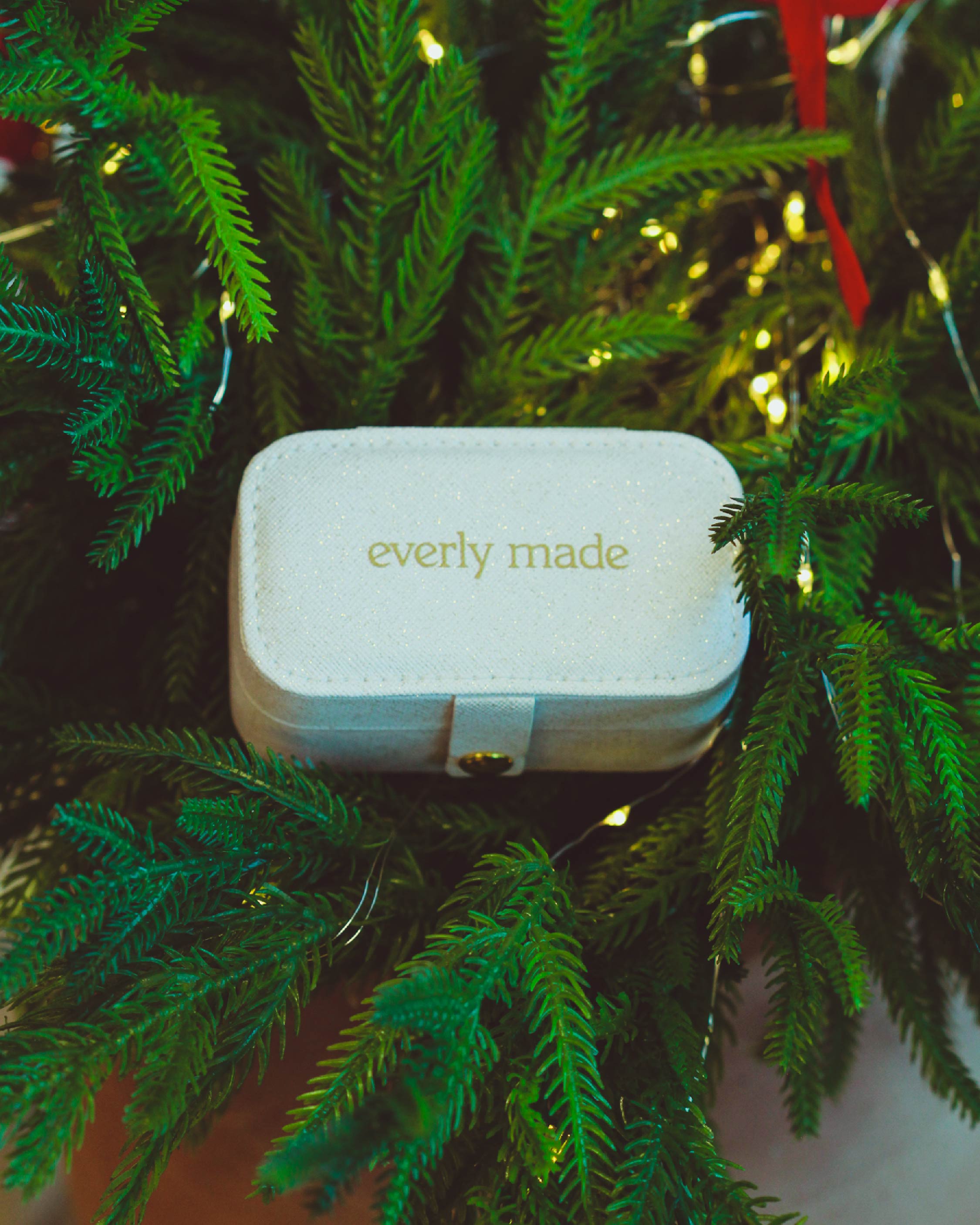 Elodie Mini Travel Jewelry Case