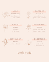 Aster • September Birth Flower