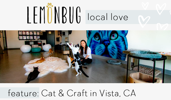 Local Feature: Cat & Craft Cafe