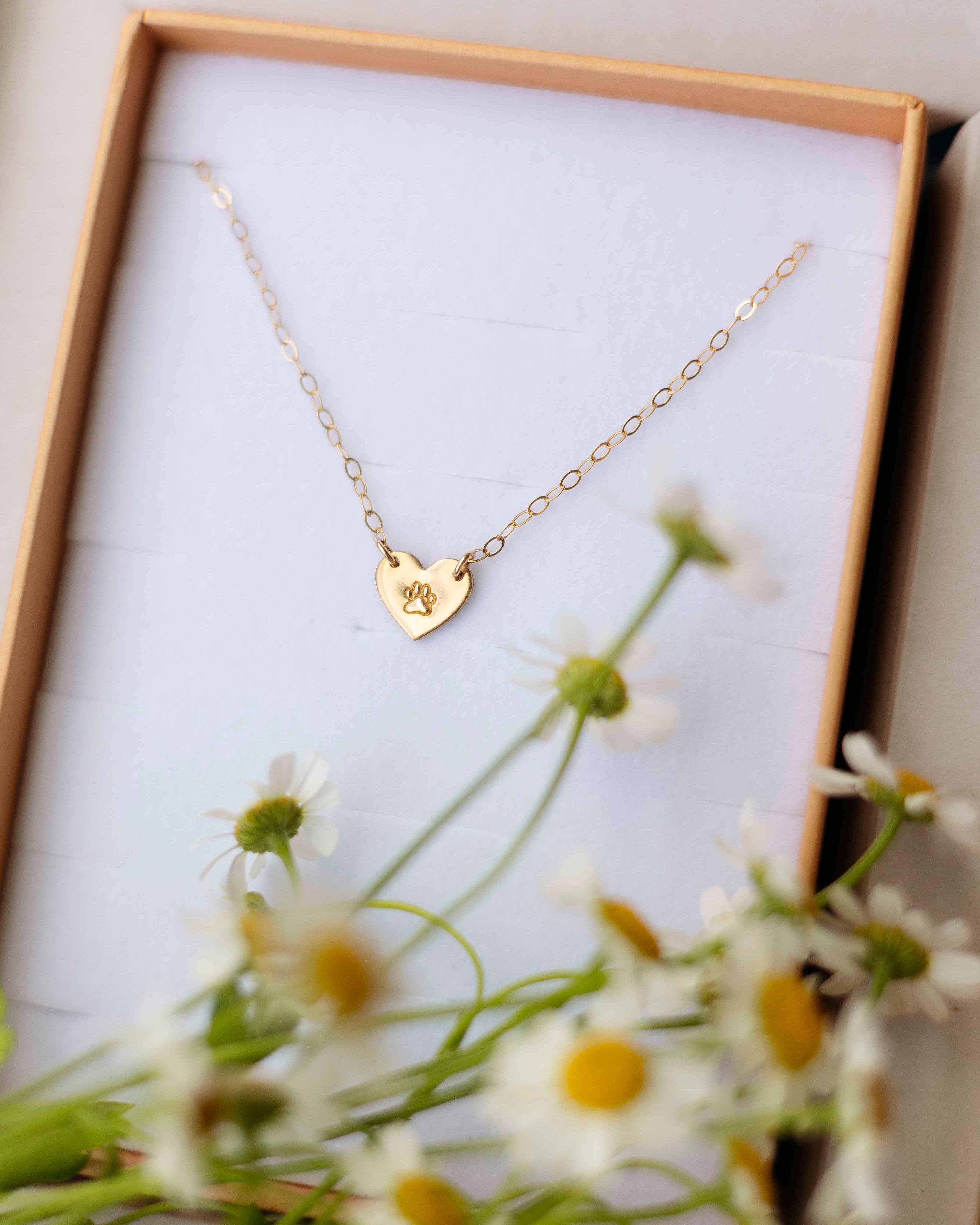 Pet Lover Collection • Premium Bundle Box