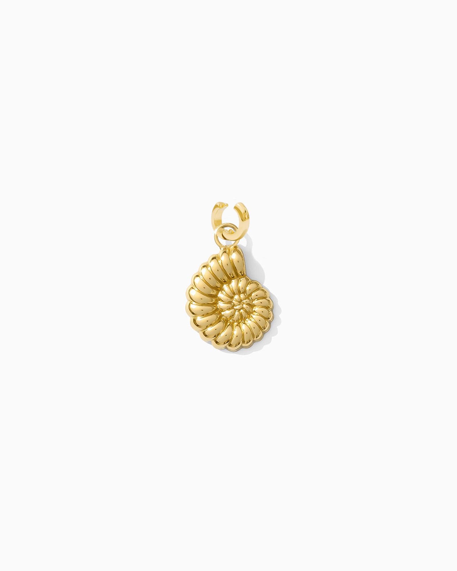 Golden Shore Shell Clarke Charm