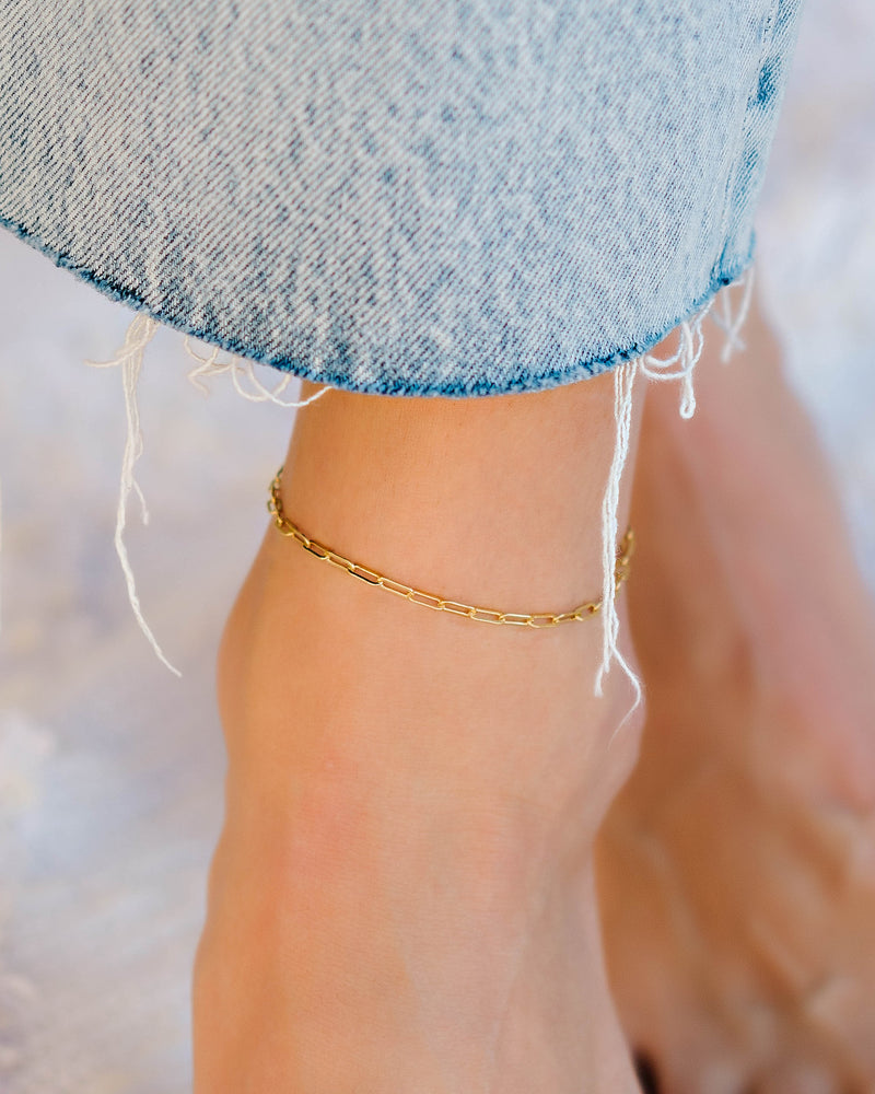 Sierra Paperclip Anklet